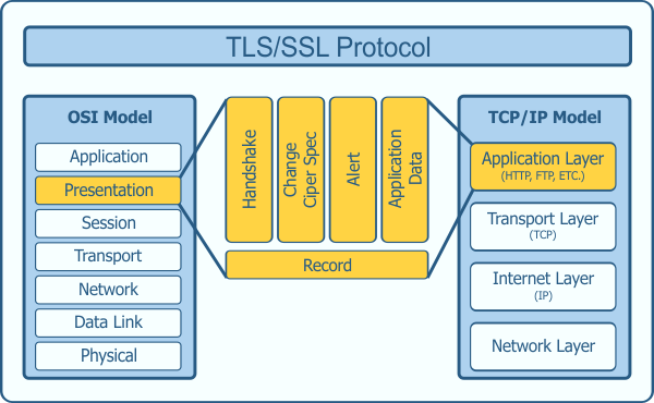 TLS Protocol in Network
Model